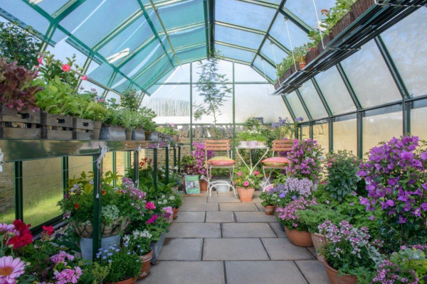 The Best Greenhouses for Every Budget