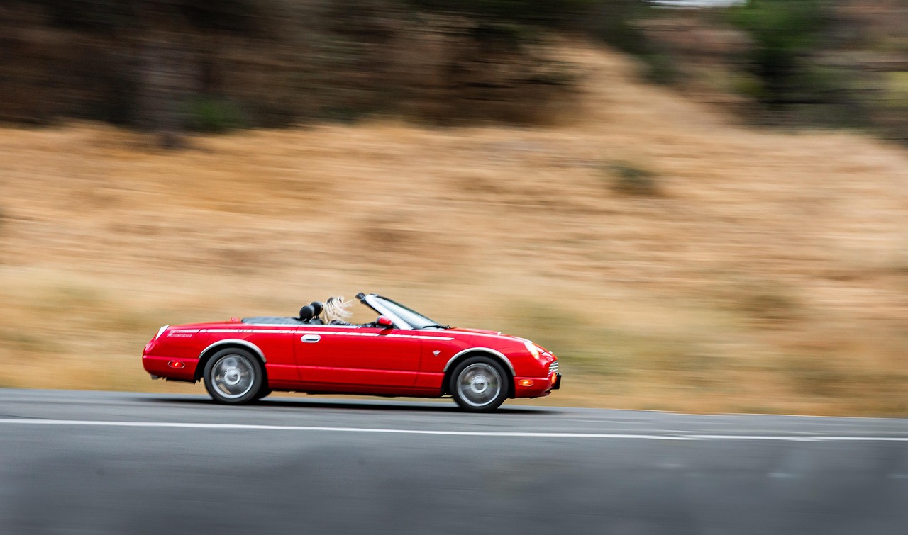 Reasons Why Choose Used Cars: Car Buyer’s Guide